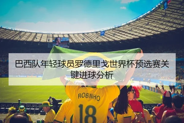 巴西队年轻球员罗德里戈世界杯预选赛关键进球分析